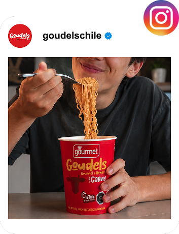 Perfil de Instagram @goudelschile